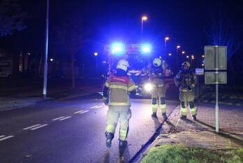 natuur kievitstraat den helder