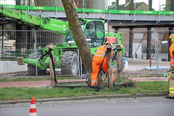 natuur stadswei harderwijk