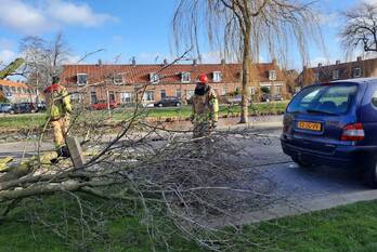 natuur willem van saendenstraat krommenie