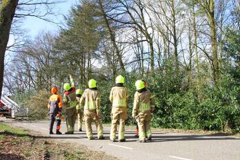 natuur diesterbaan weert