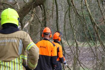 natuur werkmansweg weert