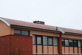 natuur brigade irenelaan bolsward