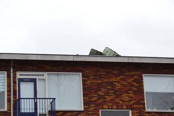 natuur juliana van stolberglaan waddinxveen