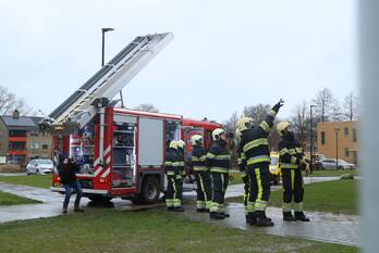 natuur maartensplein kollum