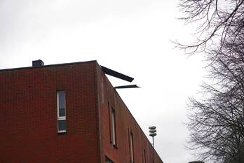 natuur s.o.j. palmelaan groningen