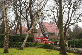 natuur gooilandseweg bussum