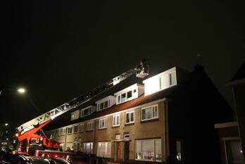 natuur zoutmanstraat noordwijk