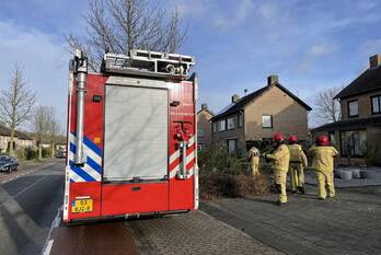 natuur burgemeester mostermanslaan lieshout
