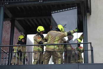 natuur borrendamme zierikzee