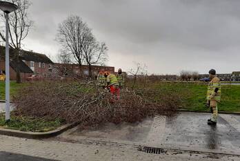 natuur ringdijk lelystad