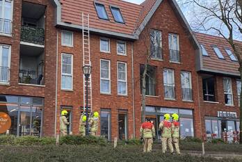 natuur gedempt kanaal middelharnis