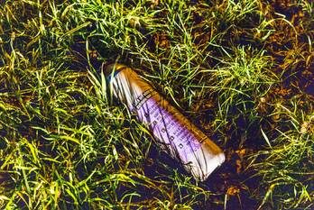 nieuws sneeuwklokje naaldwijk