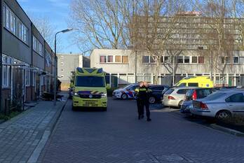 nieuws de jokse leeuwarden