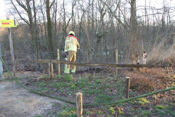 brand lozerweg weert