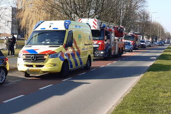 nieuws wilgenplaslaan rotterdam