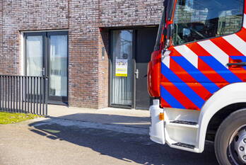 nieuws forel amersfoort