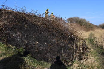 brand nieuweweg den helder