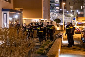 nieuws kromboomsveld zandvoort