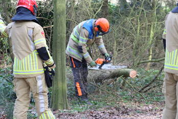 natuur leemzeulder laren