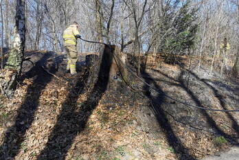 brand doctor hartogsweg bennekom