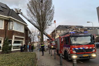 brand onder de boompjes gouda