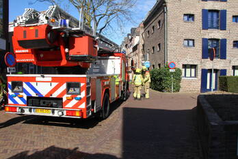 natuur paradijsstraatje weert