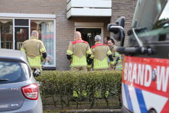nieuws ferry-oversteegenhof laren