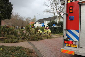 natuur remiseweg laren