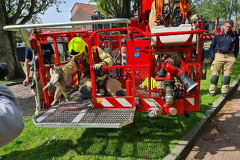 nieuws anthony knottenbeltsingel vlaardingen