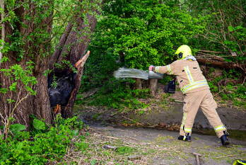 brand albrandswaardsedijk poortugaal