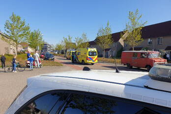 nieuws de stroekeld rijssen