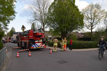 natuur vijverlaan leersum