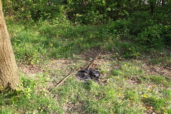 brand blatenkempweg weert