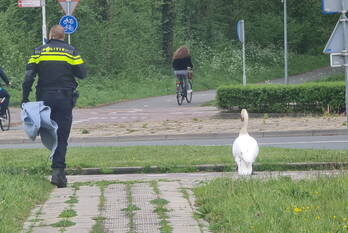 natuur ambachtsweg katwijk