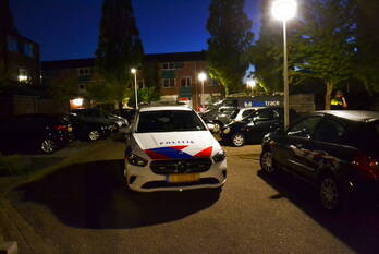 nieuws wilgehout boskoop