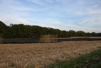 brand heringsbosch schinveld