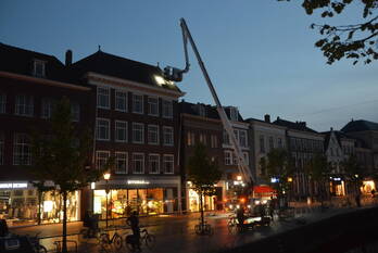 natuur nieuwestad leeuwarden