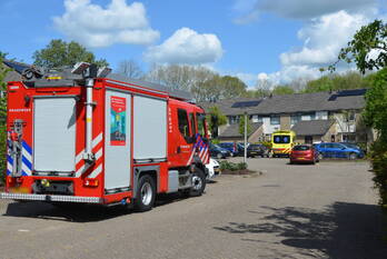 nieuws hoornbloem leeuwarden