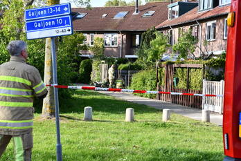 nieuws galjoen 10 lelystad