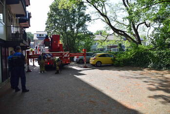 natuur obrechtlaan ede