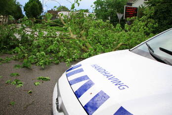 nieuws maaseikerweg weert