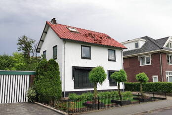 natuur breehoven bennekom