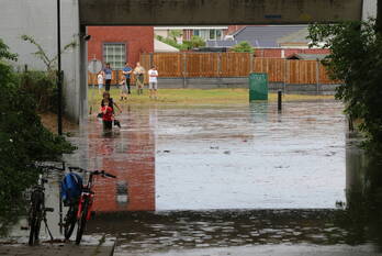natuur montgomerystraat sittard