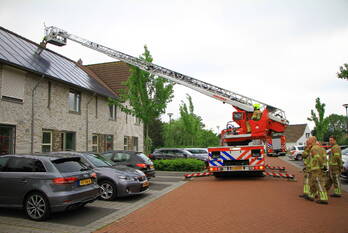 natuur de vrouwehof weert