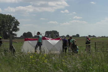nieuws westlaan velserbroek