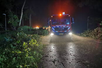 natuur keijenbergseweg - n782 wageningen