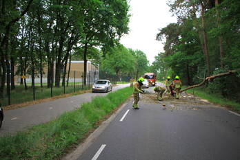 natuur trancheeweg weert