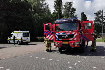 nieuws akkermaalsbos wageningen