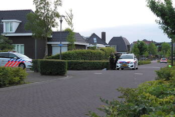 nieuws koepelstraat bergen op zoom
