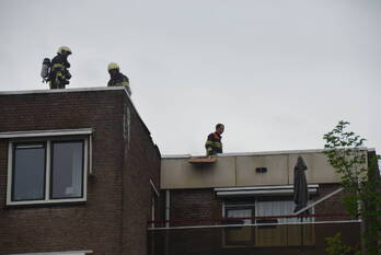 brand ubbemastins leeuwarden